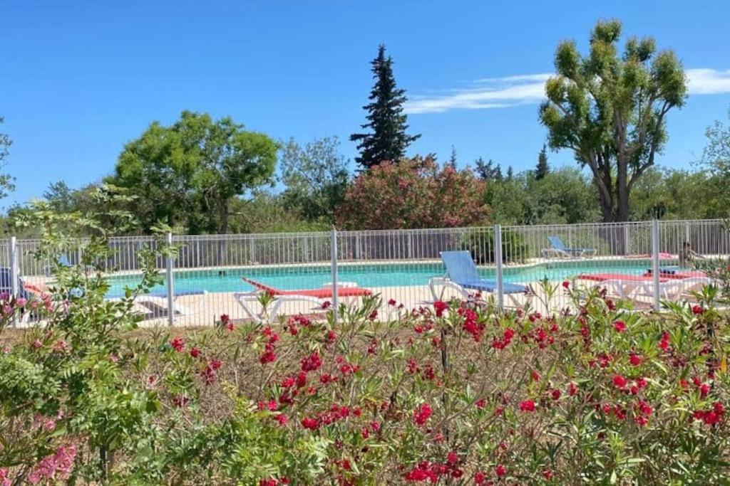 4 Avec Piscine Frejus
